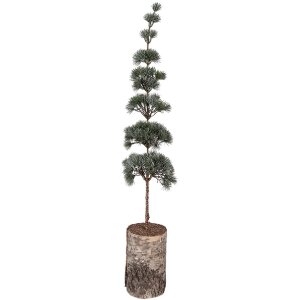 Clayre & Eef 50842 Dekoration Baum 15x12x80 cm...