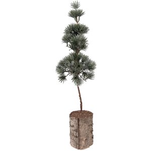 Clayre & Eef 66433 Dekoration Baum 14x14x45 cm...