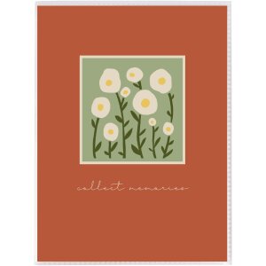 Goldbuch Einsteckalbum Aura farblich sortiert 32 Fotos 13x18 cm