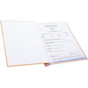 Заявление Goldbuch Zweiklang папайя 24x31 см