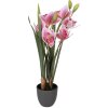Искусственное растение Cattleya Hybrida 14x14x55 см, розово-зеленое