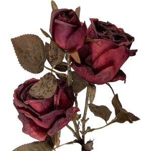 Декоративная ветка с цветами Clayre & Eef, красно-зеленая, 12x12x70 см