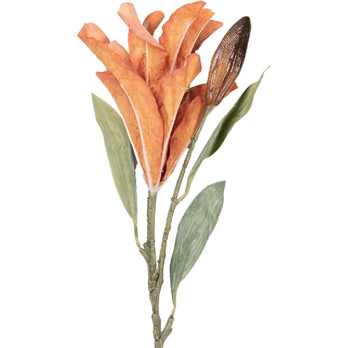 Декоративная ветка с цветами оранжево-зеленой гаммы, 88 см, Clayre & Eef
