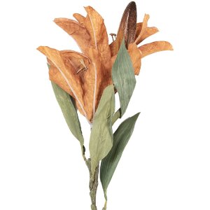 Декоративная ветка с цветами Clayre & Eef,...