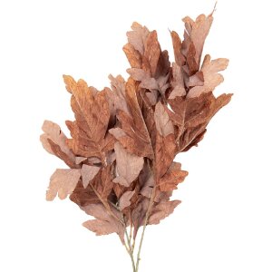 Декоративная ветка Clayre & Eef 5PL0253CH, коричнево-зеленая, 15x22x104 см