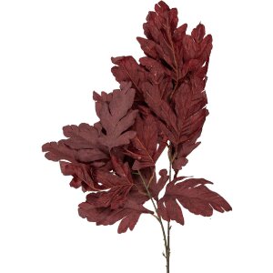 Декоративная ветка Clayre & Eef, красно-коричневая,...