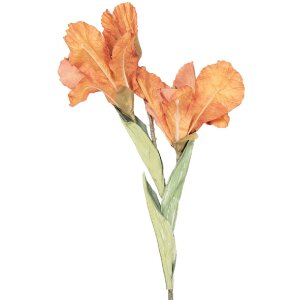 Декоративная ветка с цветами оранжево-зеленая, 85 см, Clayre & Eef