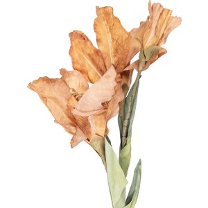 Декоративная ветка с цветами Clayre & Eef, 10x18x85...