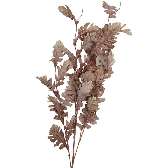 Декоративная ветка Clayre & Eef бежево-коричневая 10x15x108 см
