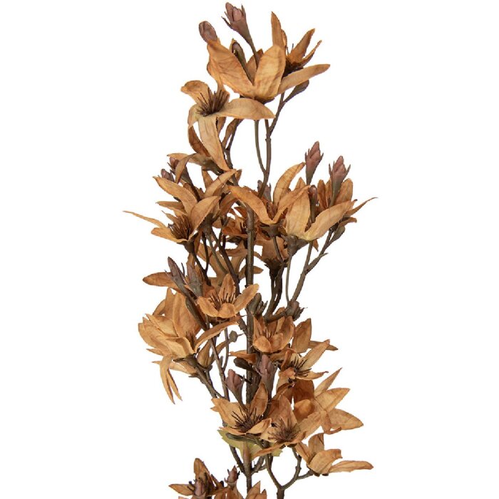 Декоративная ветка с цветами Clayre & Eef, бежево-зеленая, 10x10x95 см