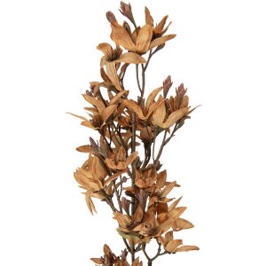 Декоративная ветка с цветами Clayre & Eef, бежево-зеленая, 10x10x95 см