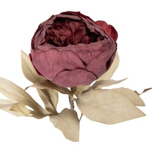 Конфетти-цветок Clayre & Eef, красно-зеленый, 11x11x62 см