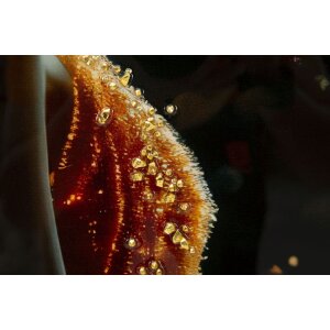 Картина на холсте Mauro Ferretti ILLUMY в раме 62x92 см