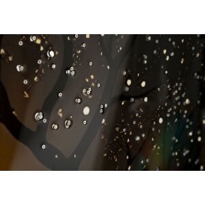 Мауро Ферретти. Картина на стену «Павлин» — холст с рамой 70x100 см