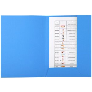 Exacompta FOREVER Aktenmappe sortiert, 24x31,5 cm, farblich sortiert