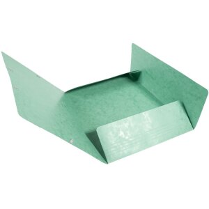 Exacompta Sammelmappe DIN A4 Grün Maxi...