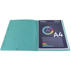 Папка-уголок зеленая для формата A4