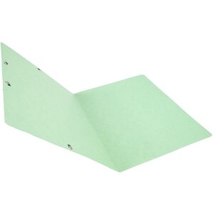 Папка-уголок светло-зеленого цвета для формата A4