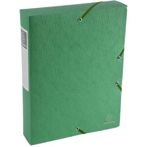 Exacompta Archivbox Exabox 60mm DIN A4 Grün mit Etikett