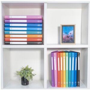 Ringbuch weiß 2 Ringe DIN A4