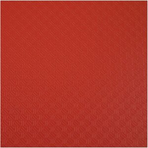 Exacompta 54195E Ringbuch PP 2 Ringe DIN A4 rot 20 mm Rückenbreite