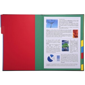 Ordnungsmappe 12 Fächer, Ordonator, für Format DIN A4