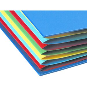 Ordnungsmappe 12 Fächer, Ordonator, für Format DIN A4