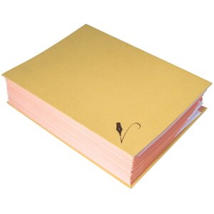 Exacompta Unterschriftenmappe 22209E 20 Fächer Kraft braun