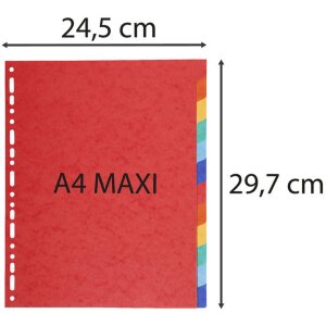 Exacompta 2112E Nature Future Register DIN A4 12 Taben Manila Karton 220g