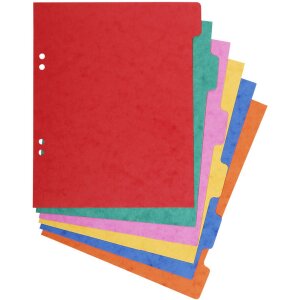 Exacompta Nature Future Register 17x22 cm mit 6 Taben,...