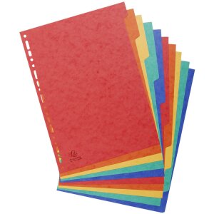 Exacompta Nature Future Register DIN A4 mit 10 Taben,...