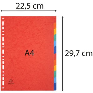 Exacompta Register A4 12-teilig farbig Manila Nature Future Serie