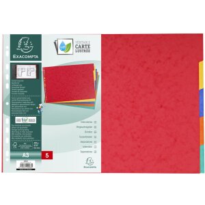 Exacompta 2905E Register Manila Karton 400g 5 Positionen DIN A3