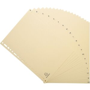 Exacompta Register DIN A4 mit 20 Taben, Standard Karton,...