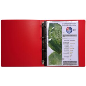 Exacompta 88040E Dokumentenhüllenbündel A4 10 Hüllen Polypropylen klar