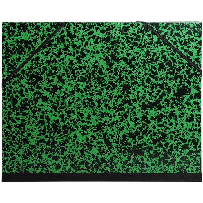 Exacompta 542200E Zeichenmappe Annonay grün B3 37x52 cm mit Gummizug