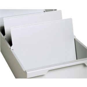 Trennplatte DIN A4 quer - Leuchtgrau