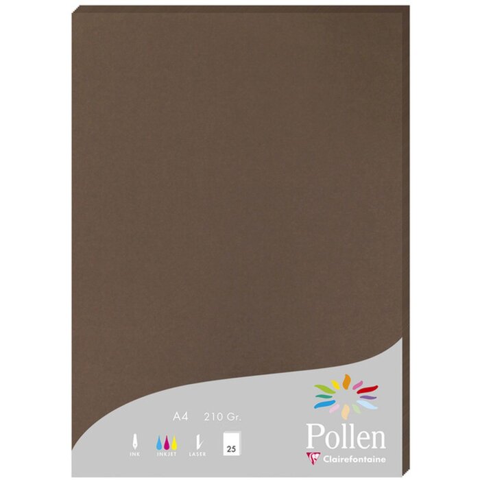 Clairefontaine Papier A4 Pollen 210g braun 25 Blatt