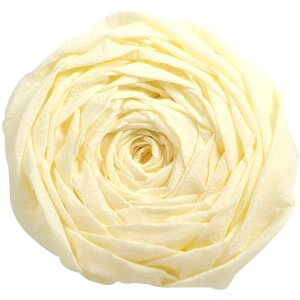 Clairefontaine 901002C Krepppapier elfenbein 200x50 cm 10...