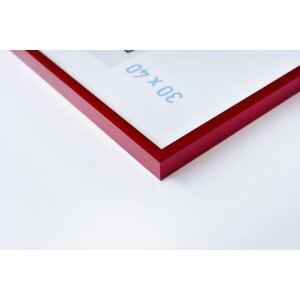 Nielsen алюминиевая рамка C2 18x24 см торнадо красный