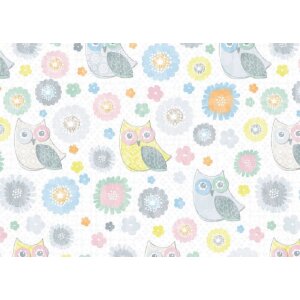 Artebene Papierbogen 50x70 cm Eule 80g Bastelpapier