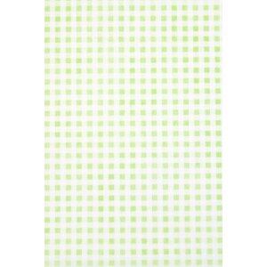 Artebene Papierbogen 70x100 cm Vliespapier Vichy lime 80...