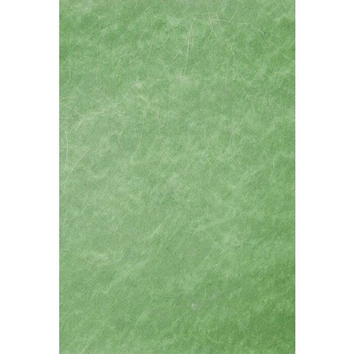 Artebene Бумага флизелин с серебряными нитями 70x100 см, зеленый