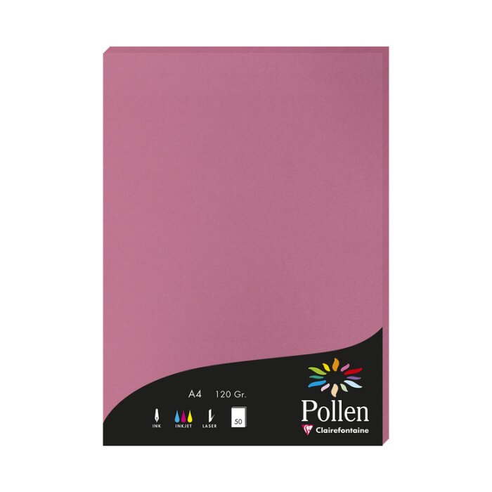 Гортензия розовая