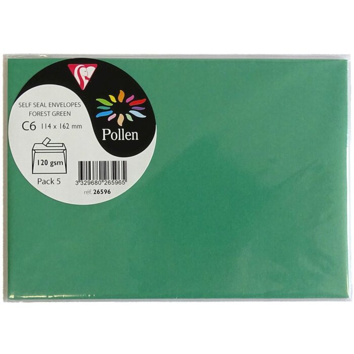 ель зеленая