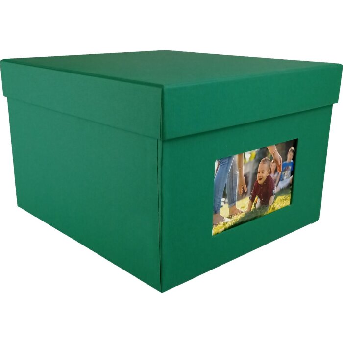 ель зеленая