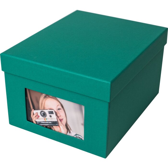 ель зеленая