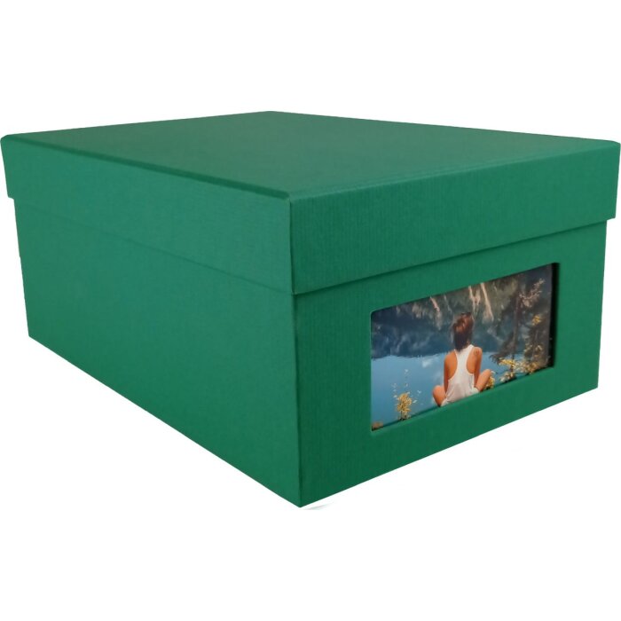 ель зеленая